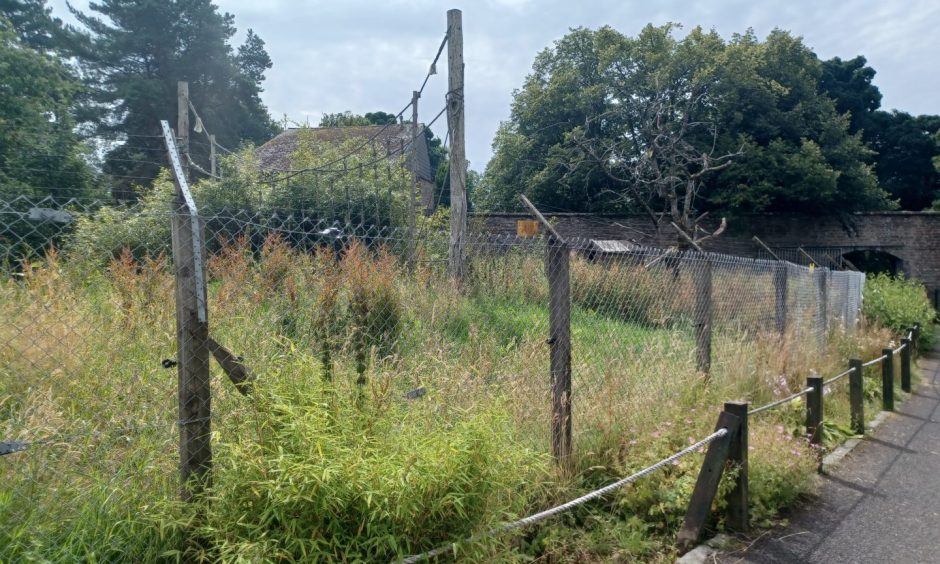 camperdown wildlife park