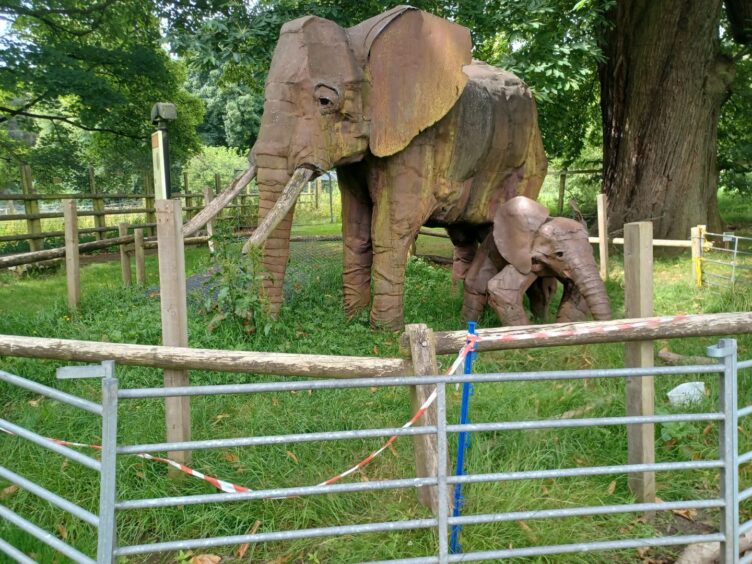 camperdown wildlife park