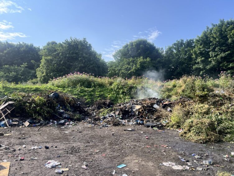 The smouldering rubbish at Camperdown Park 