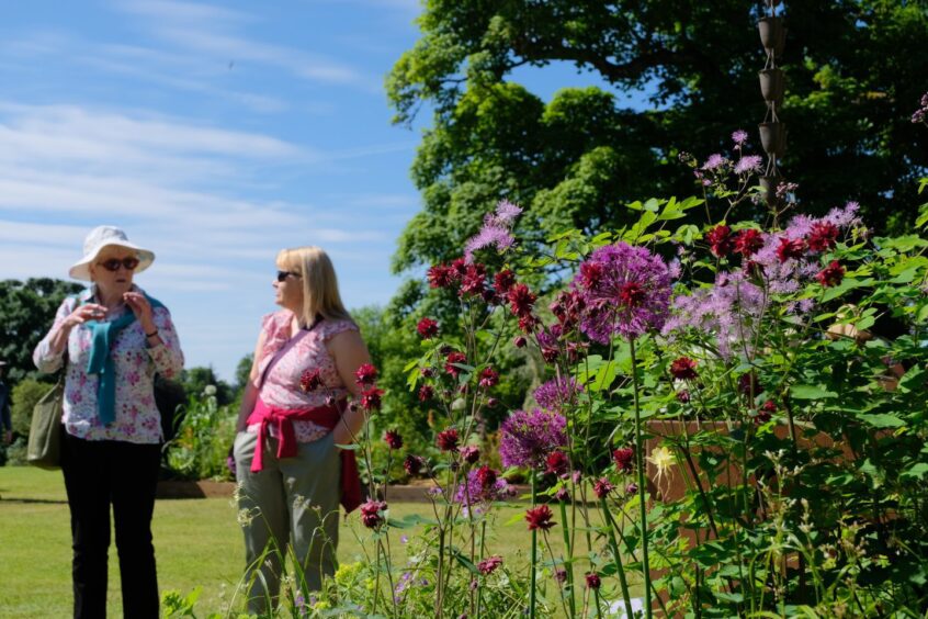 Two women in Scone palace gardens admiring flower beds