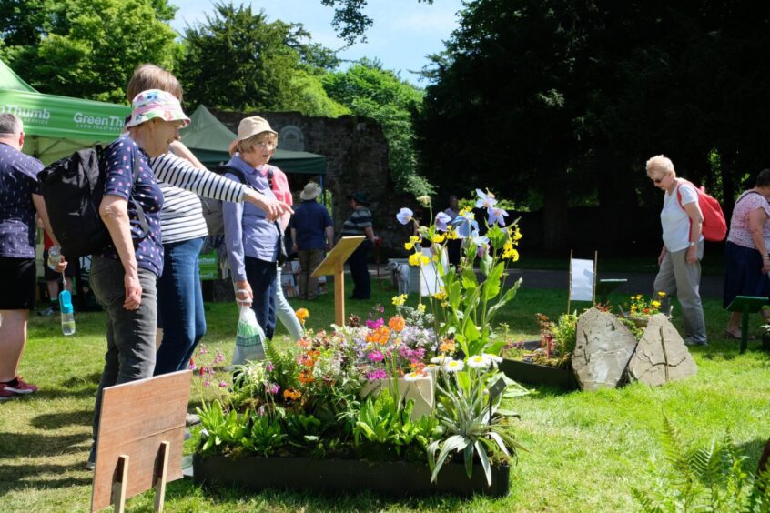 women pointing at flower displays at scone palace garden fair