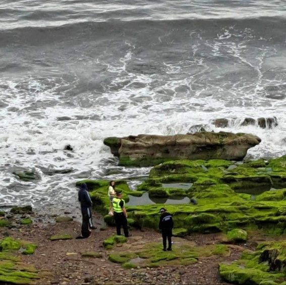 Police were also called out to the seal in Dysart 