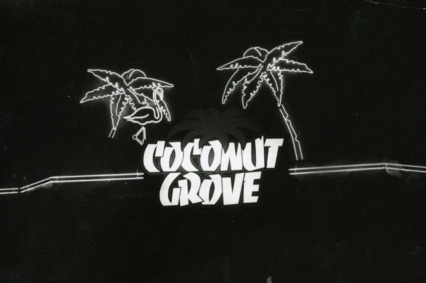 Night-time shot of the Coconut Grove sign in 1984.