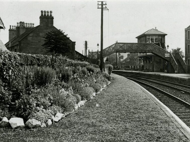 a flowerbed at Lochee Station in March 1953, with the bridge over the line and station buildings in the background.