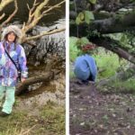 VIDEO: Moment beaver ‘waves’ to girl as she sits yards away at Perthshire beauty spot