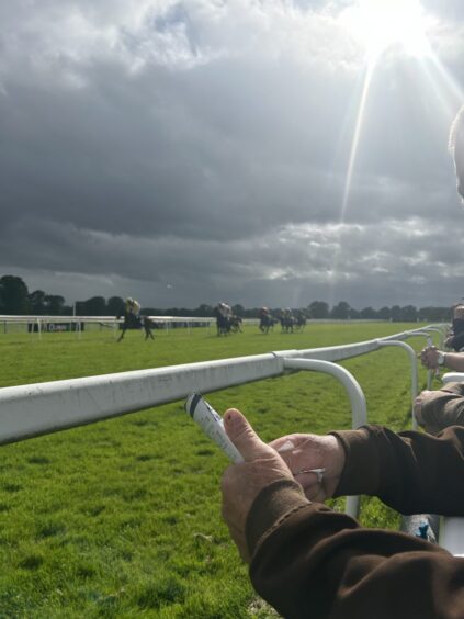 The horses run at around 40mph at the Perth races. Image: Poppy Watson/DC Thomson