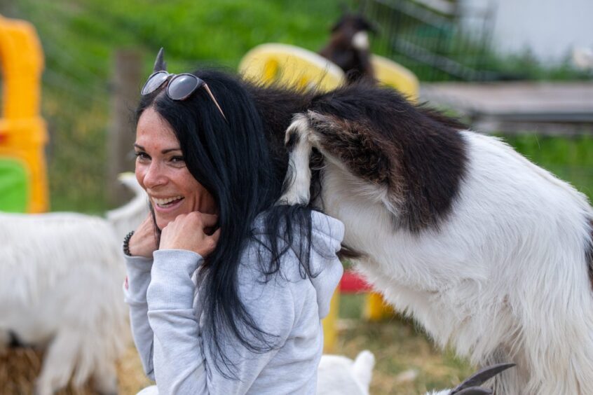 Gayle bonds with a young goat! Image: Kim Cessford. 