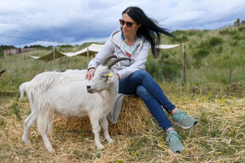 Gayle hangs out with a friendly goat at Lunan Bay Farm. Image: Kim Cessford. 