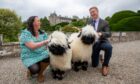 Perth Show Secretary Jen Leslie and Chairman David Barclay with two fluffy sheep