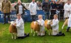 Children show off their sheep at Perth Show 2023