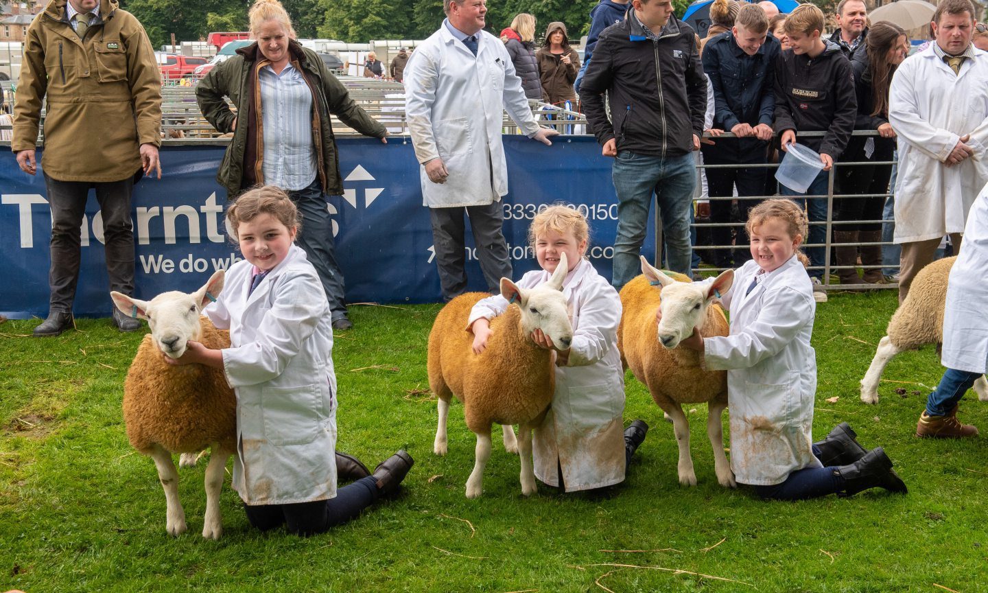 Perth Show: Tickets, parking, and all the sheep you could ask for