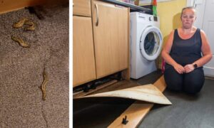 Rebecca Black with the flood damaged kitchen and picture of the slug infestation.