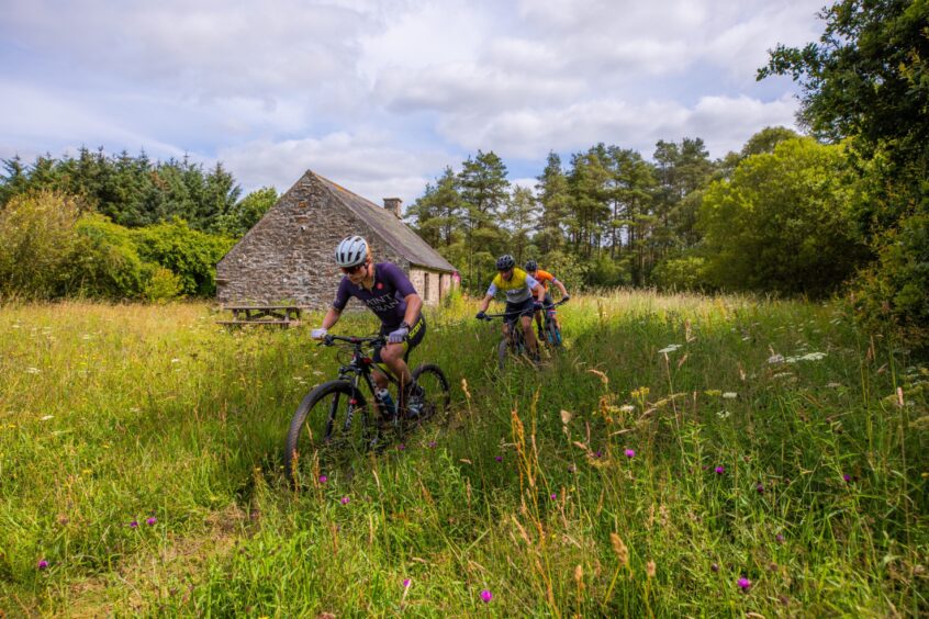 Mountain biking competition on new trails at Crombie Country Park in Angus.