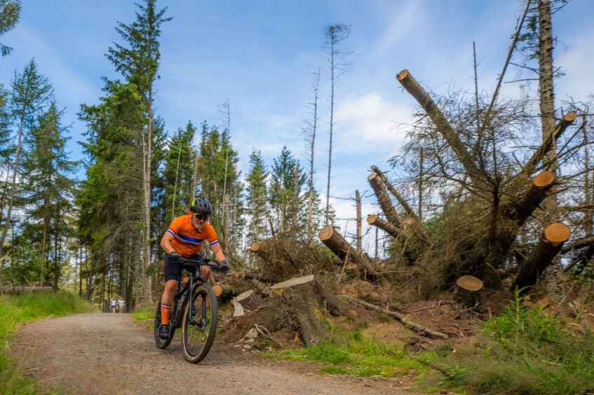 Mountain biking competition on new trails at Crombie Country Park in Angus.