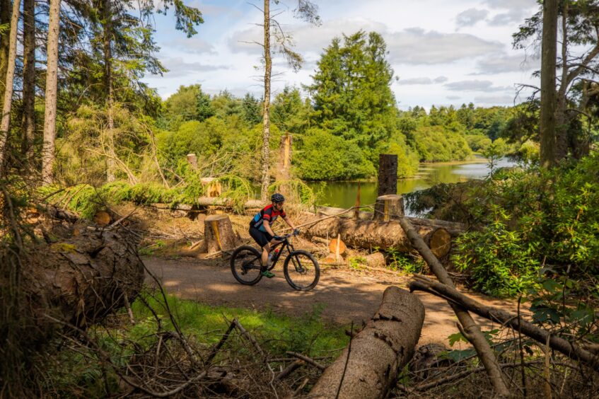 Mountain biking competition on new trails at Crombie Country Park in Angus.