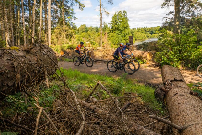 Mountain biking event at Crombie Country Park in Angus.