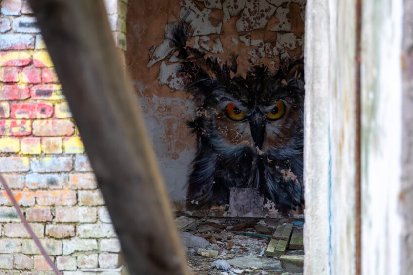 Incredible artwork inside abandoned Thornton Fever Hospital in Fife. Image: Steve Brown.