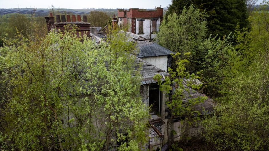 Much of the abandoned site of Thornton Fever Hospital has been taken over by nature. Image: Steve Brown.