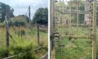 camperdown wildlife park decline