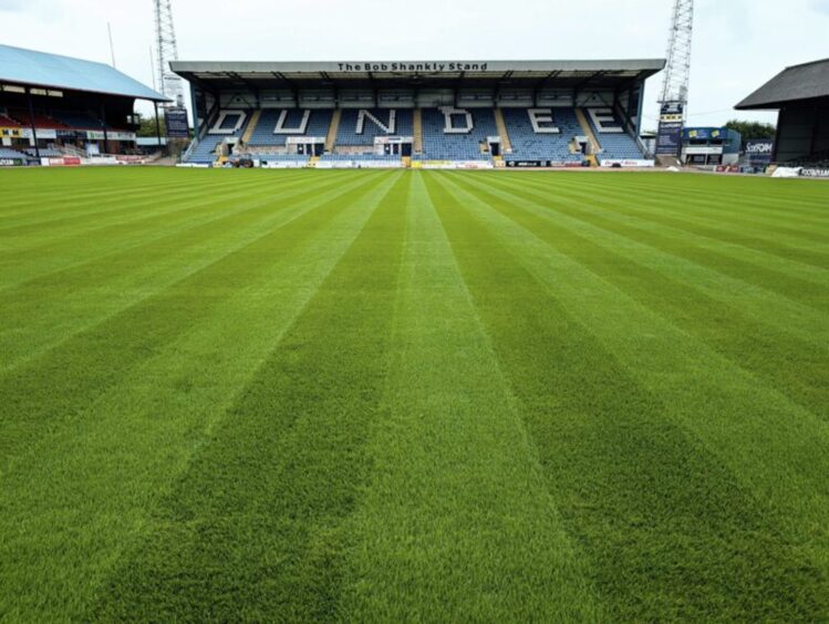 The Dens Park pitch. Image: Dundee FC.