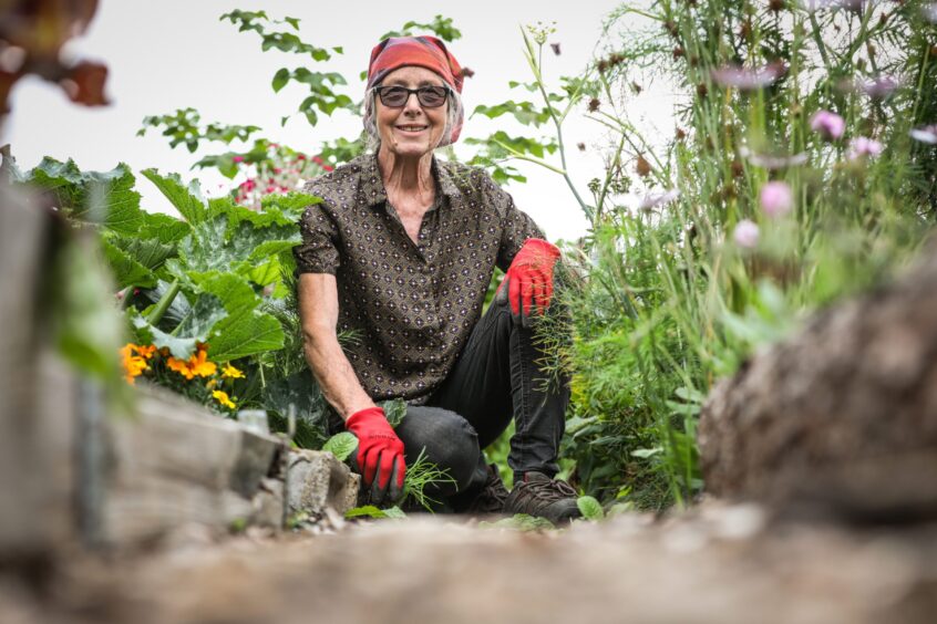 Lynne Nealon in her allotment at City Road Allotments in Dundee.