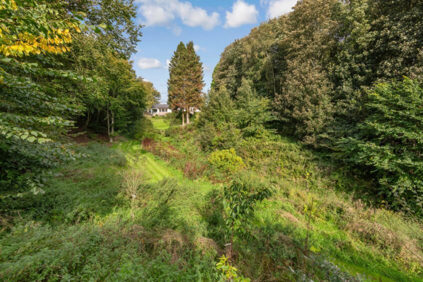 The sizeable garden, with the home just visible in the distance