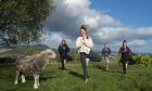 The wellness weekend includes yoga with sheep. Image: Epic Scotland