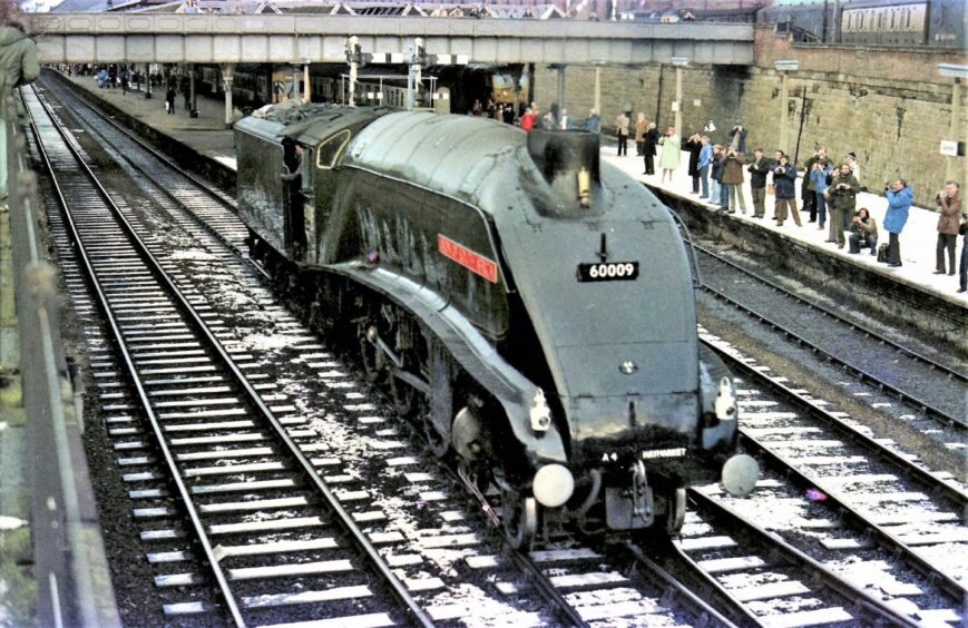 Union of South Africa at Dundee in 1980.