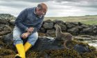 Billy and Molly: An Otter Love Story will premiere at LandxSea. Image: National Geographic/Charlie Hamilton James