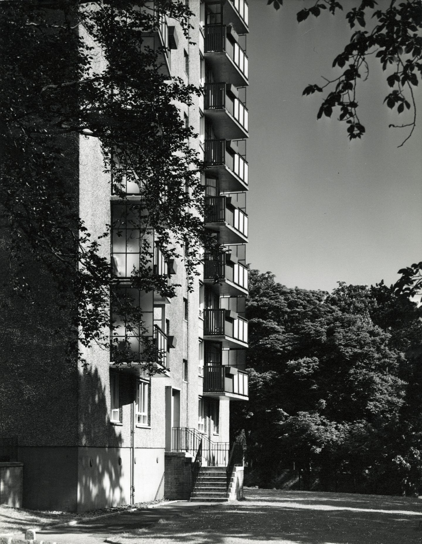 The Dryburgh multis, seen through the trees, in 1960.