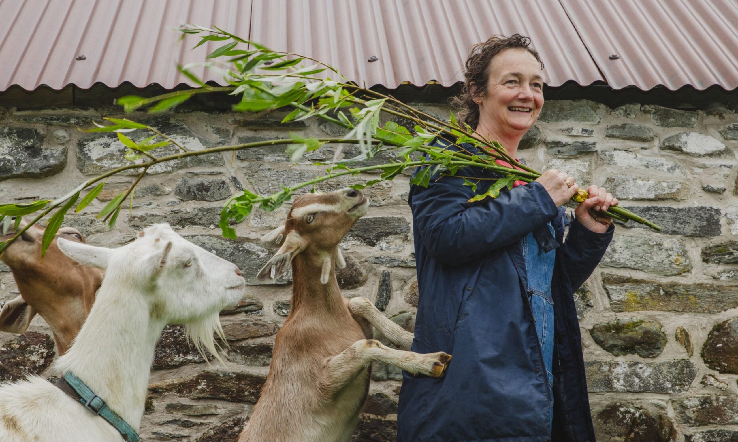 Rebecca tried out the Scottish Lavender Oils tour at Tarhill Farm, Kinross. Image: Kenny Smith/DC Thomson.