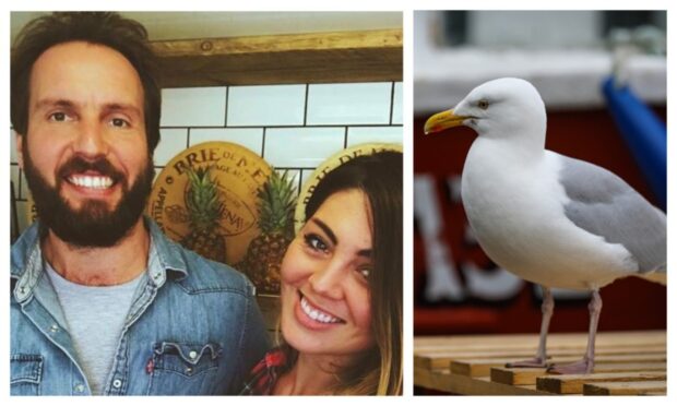 Cheesy Toast Shack owners Sam Larg and Kate Carter-Larg and a gull.