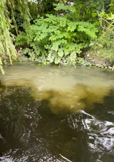 filthy discolouration in River Tay