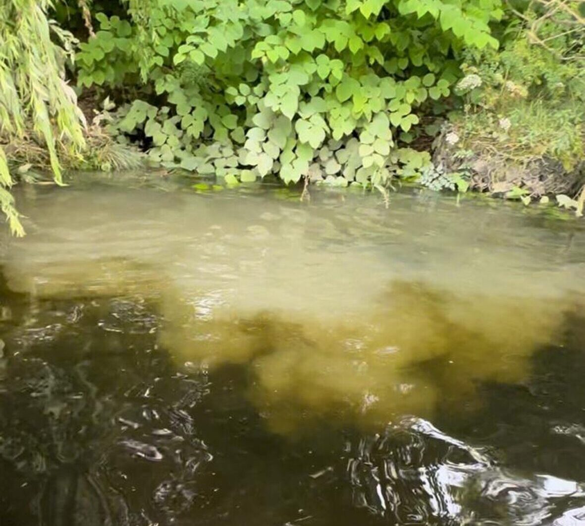 Sewage being pumped into the Tay in 2024.