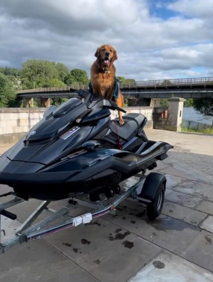 Dog on jet ski by river Tay