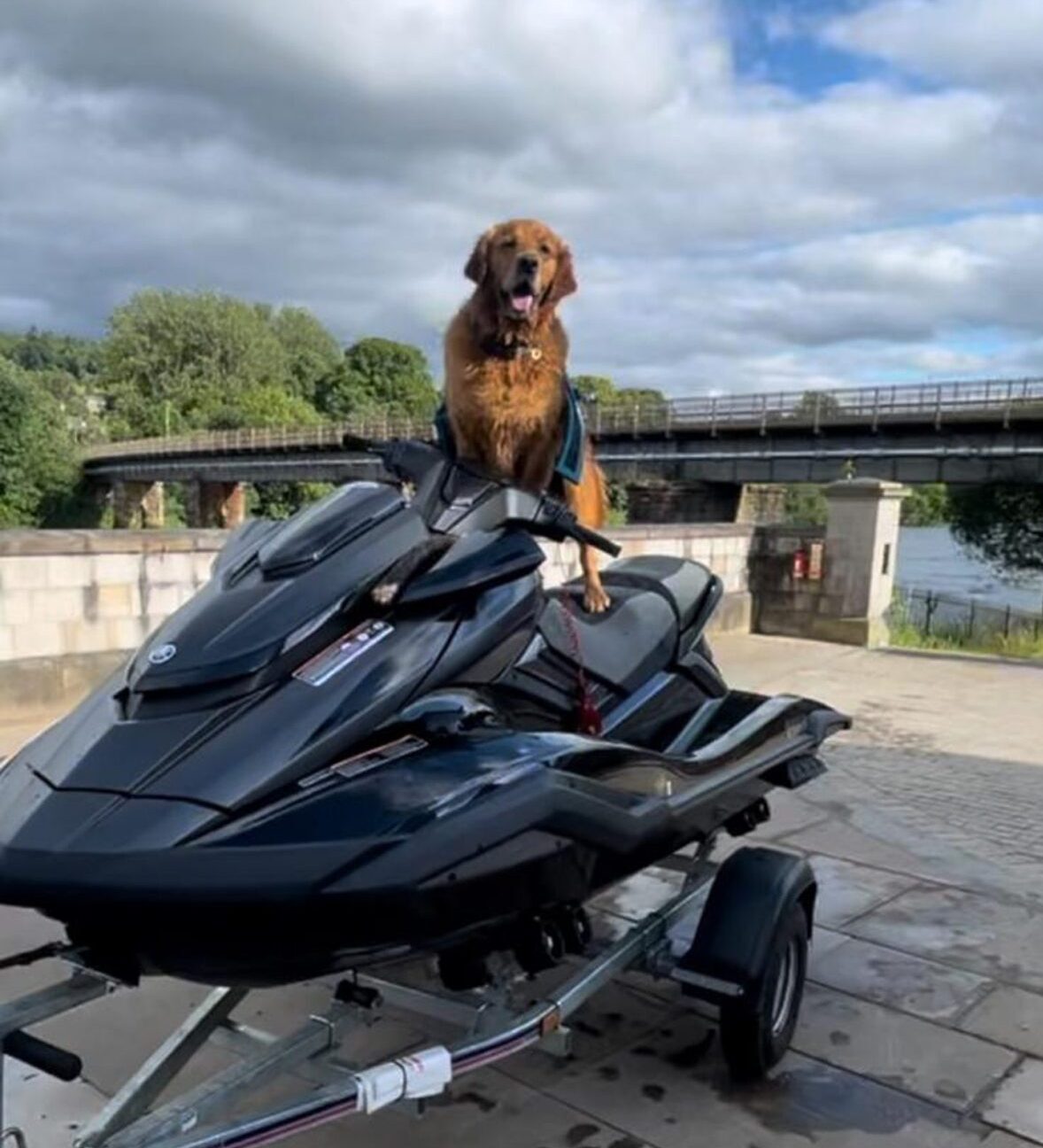 Troy the dog on his owner's jet ski.