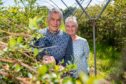 Peter and Melanie Thomson standling among blueberry bushes