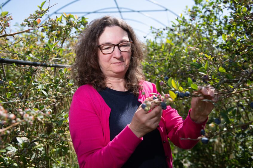 Lesley McDonald holding blueberry branch