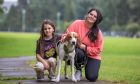 Cody the three-year-old fox hound wears many hats - therapy dog for Jade, best friend for her daughter Kayla, and protector of the home. Image: Kenny Smith.