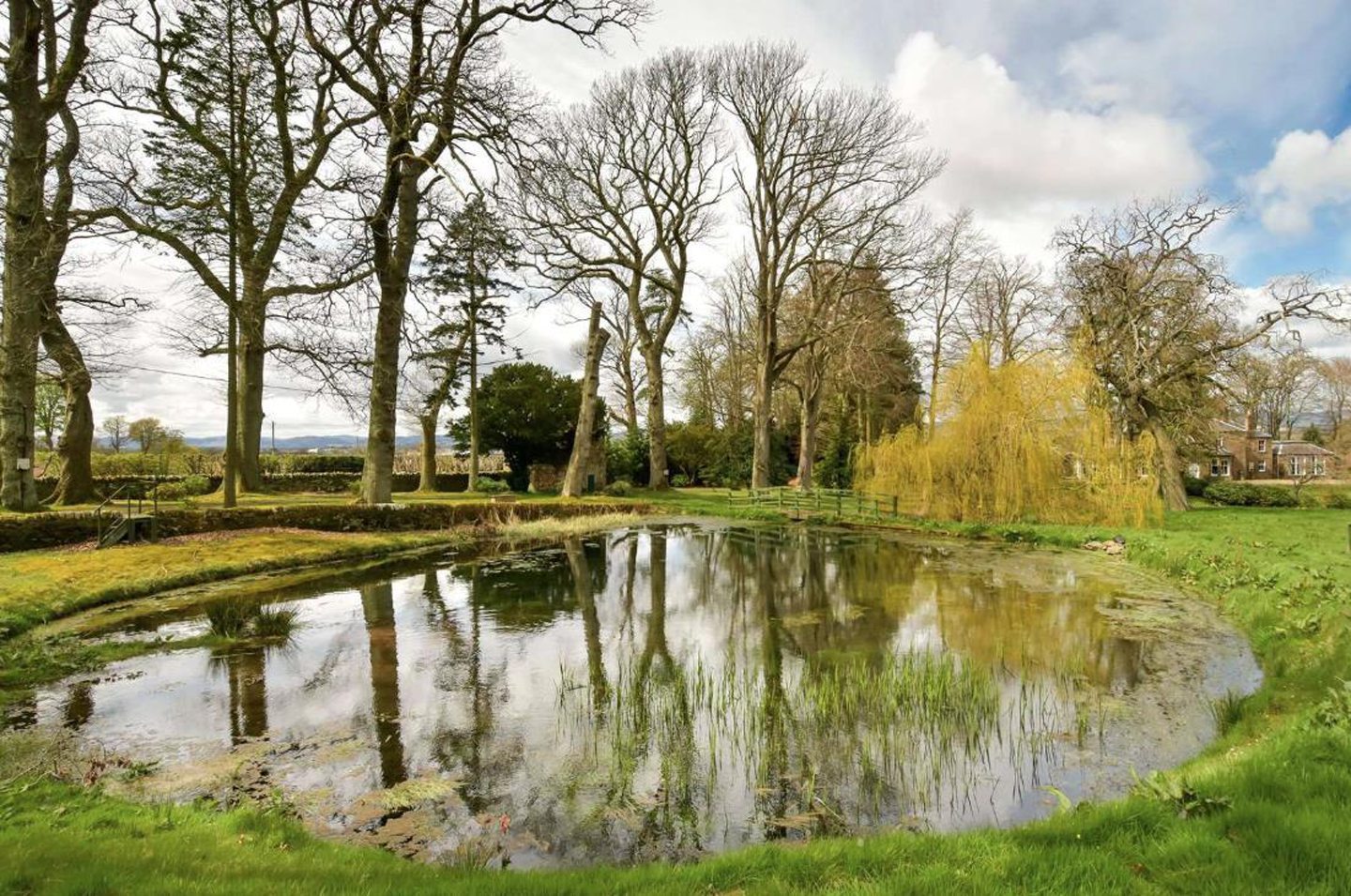 A pond in the grounds.