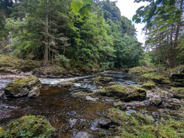 River Isla and woodlands at Reekie Linn.