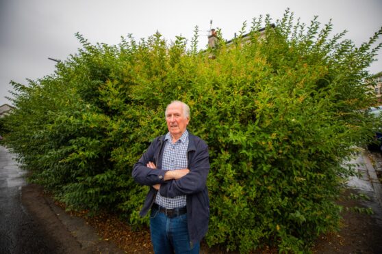 Peter Stewart with the overgrown hedge on Stirling Avenue in Dundee.