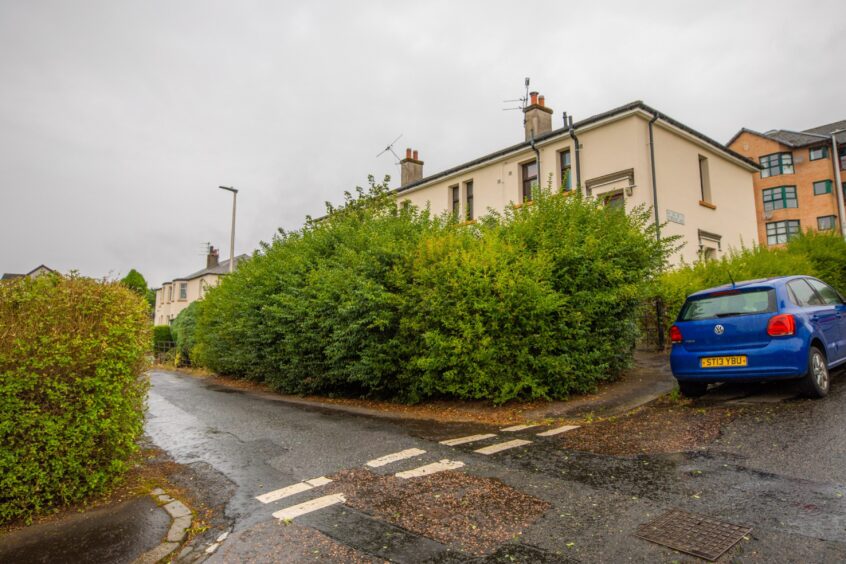 The extent of the overgrowth at the the house on Stirling Avenue in Dundee.