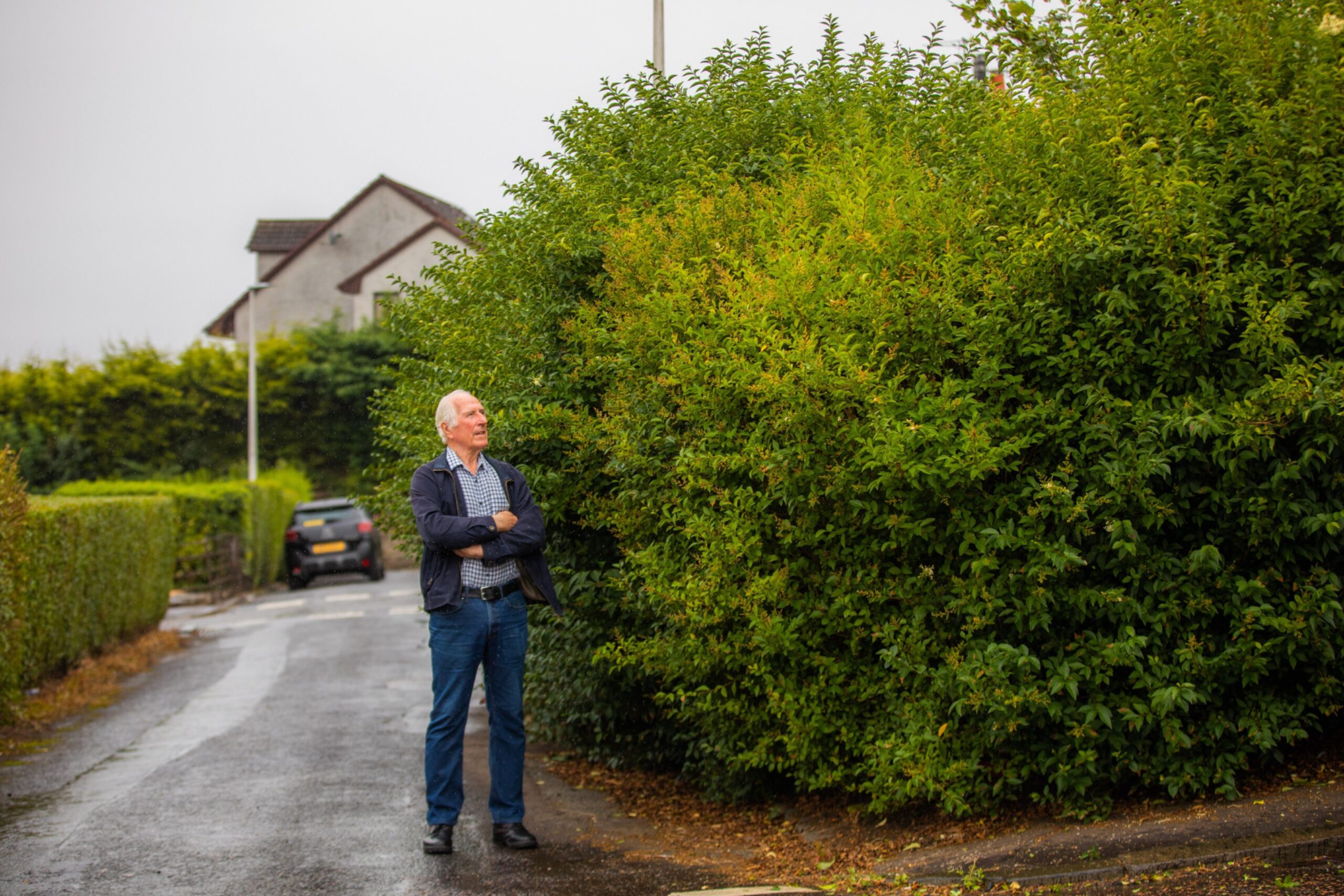 Peter Stewart outside his Dundee council house with hedges now reaching 12 foot high.