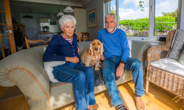 Razzi the cocker Spaniel recovers from her ordeal at home with owners Desmond and Susan Montgomery