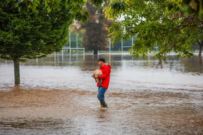 Man carrying dog through floodwater on North Inch, Perth with rugby goal posts behind