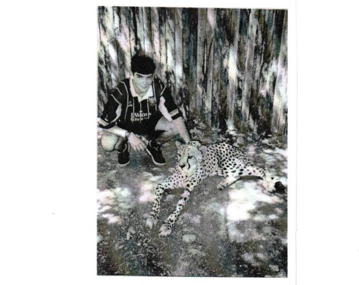 Niall Menzies in South Africa - meeting a cheetah - before the horror accident which left him with a severe brain injury. Image: Supplied.