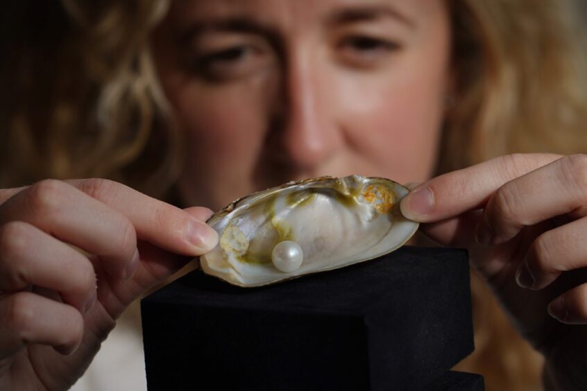 Woman holding Abernethy Pearl in mussel shell up to camera