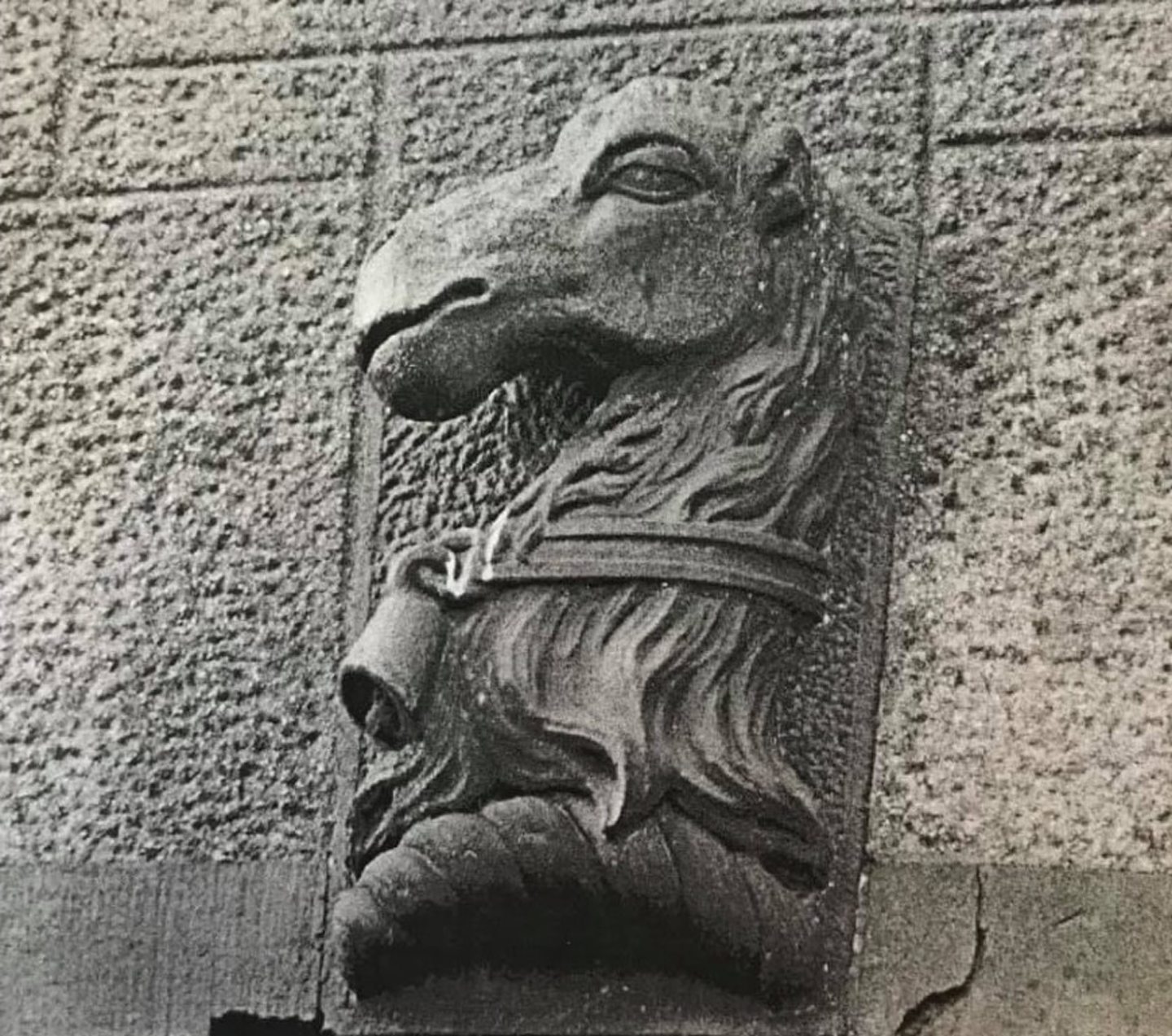 The Grimond camel head from the archway at Carbet Castle. 