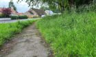 Long grass beside path and road at Longforgan